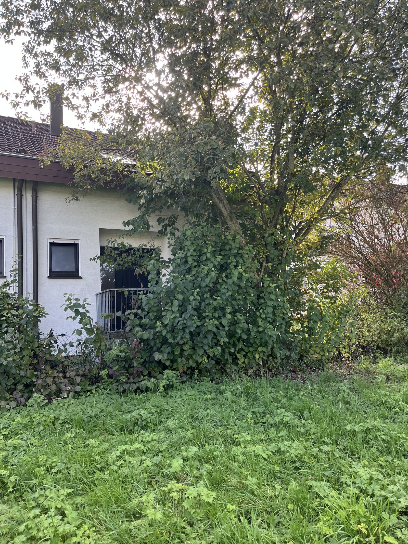 Sifi-Hinterweil: Solide Doppelhaushälfte in ruhiger, sonniger Lage