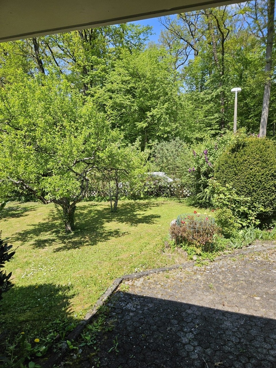 Sifi: Großzügiges 1-2 Familienhaus am Waldrand